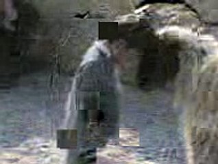 Sheep Provides You Protection