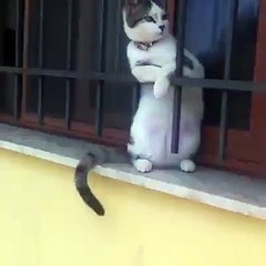 Waiting for the squad to arrive...LOL! - VideoEggs