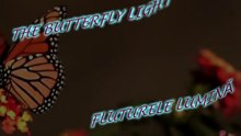 TEODORA POPESCU ~*THE BUTTERFLY LIGHT*~*FLUTURELE LUMINĂ *