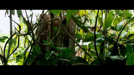 Зеленый ад — Русский трейлер (2015)