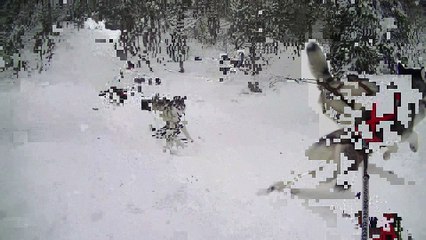 luge avec hamarok et nanouk