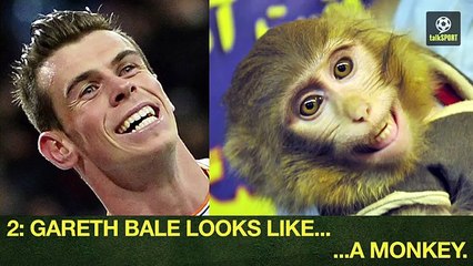 25 Footballers Who Look Like Animals