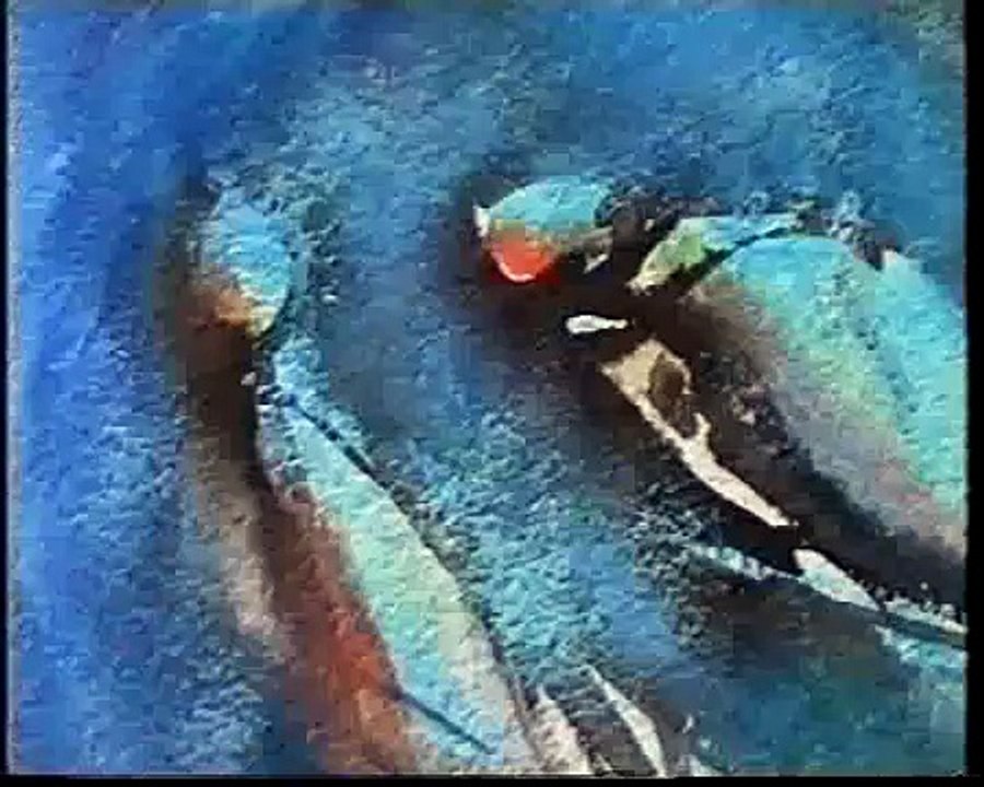 GENNARO ESCA  La magia del tempo