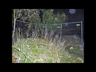 mes meilleures photos (2011-2016)