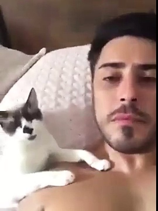 Ce chat réclame des bisous