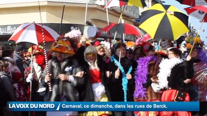 Le carnaval de Berck 2016 sous le soleil