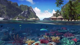 Карибские острова DreamScene