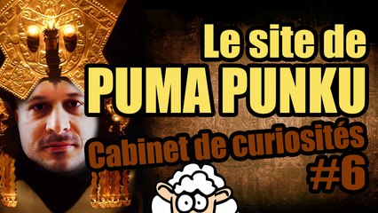 Le site de PUMA PUNKU - Cabinet de curiosités #5