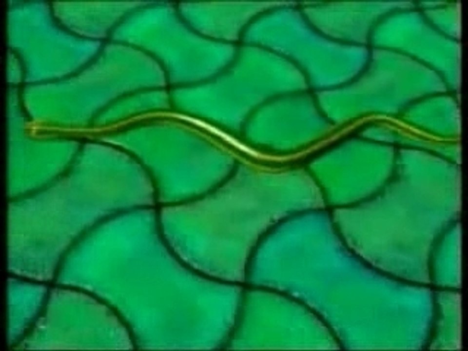 Pantera - Planet Caravan