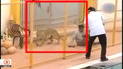 Leopar 6 kişiyi yaraladı Leopard injures 6 people