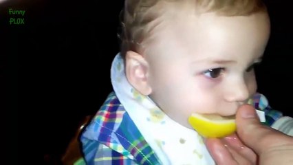 Babies Eating Lemons for the First Time Compilation