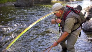 Fly fishing for Yellowstone Cutthroat Trout on Bitch Creek, Idaho