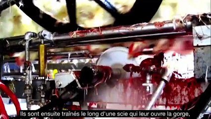 Mais quel immonde réalité...