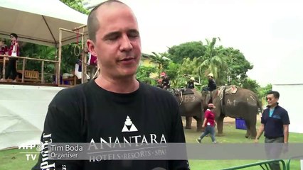Elephants Play Polo in Thailand