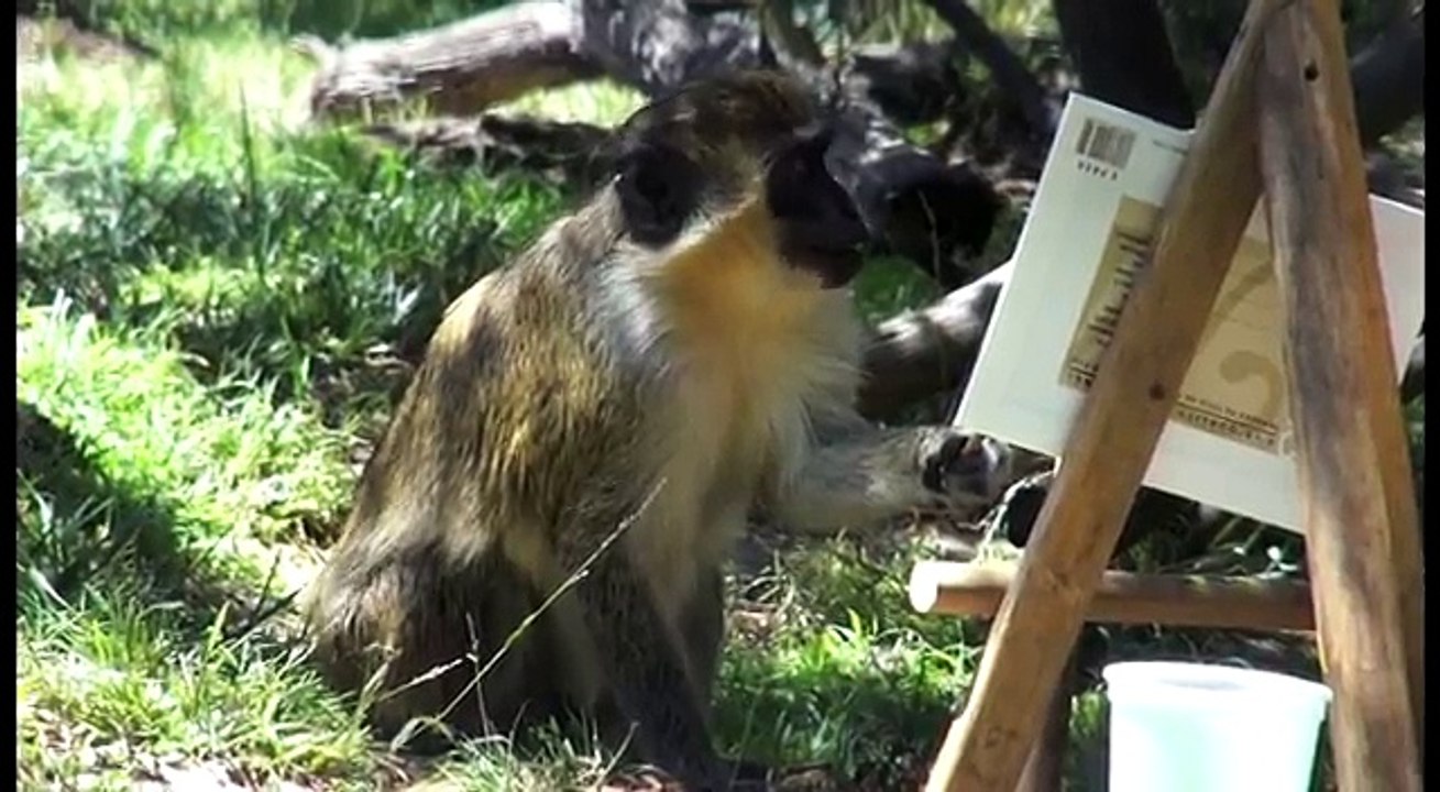 Oakland Zoos 2015 Animal Art Show