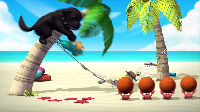 Monkeys from space Alien Monkeys Hawaii 27 series