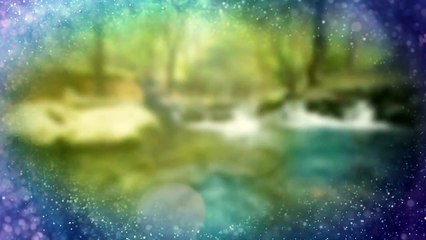 فاصل إبداع مستمر - 25_1_2014 - طيور الجنة