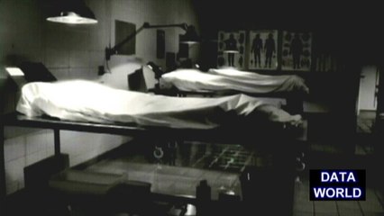 Military Captures Extraterrestrials (DATA WORLD)