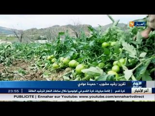 آخر أخبار الجزائر العميقة في الموجز المحلي ليوم 13 مارس 2016