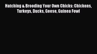 Download Hatching & Brooding Your Own Chicks: Chickens Turkeys Ducks Geese Guinea Fowl Ebook