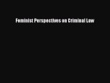 Read Feminist Perspectives on Criminal Law Ebook Free