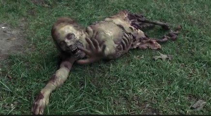 Une attraction THE WALKING DEAD à Universal Studio Hollywood