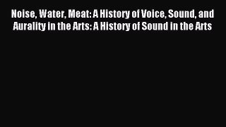 Read Noise Water Meat: A History of Voice Sound and Aurality in the Arts: A History of Sound