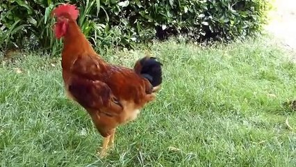 9ème Forum végétable : FRANCE, ta production fout le camp !