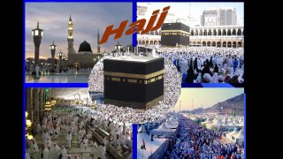 D I  29  Qu'en est il du Hajj mabrour (agréé)?  par Abou Maryam Dépliant islamique n° 29