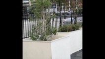 Large Planters with Castor Wheels