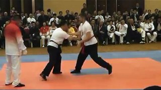 Tuishou Sidorov fighting 1-1 Beijin 2011.avi