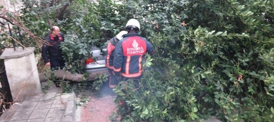 Maltepe'de devrilen ağaç yolu kapattı