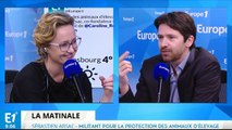 Sébastien Arsac, petit-fils de boucher et....défenseur de la cause animale