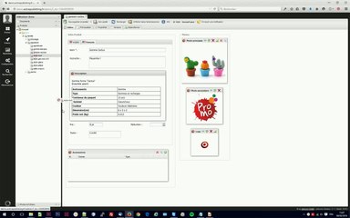 Gestion de contenu produits (PimCore) - Active Publishing Solutions Part.1