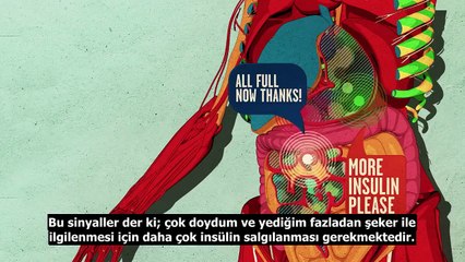 Şekerli yiyecekleri neden bu kadar çok severiz?