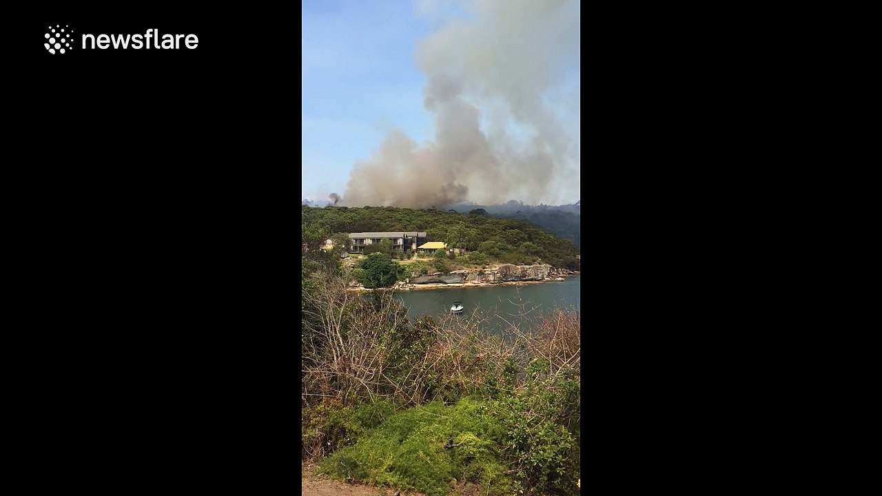Bush fires in Sydney part of anti-bushfire strategy