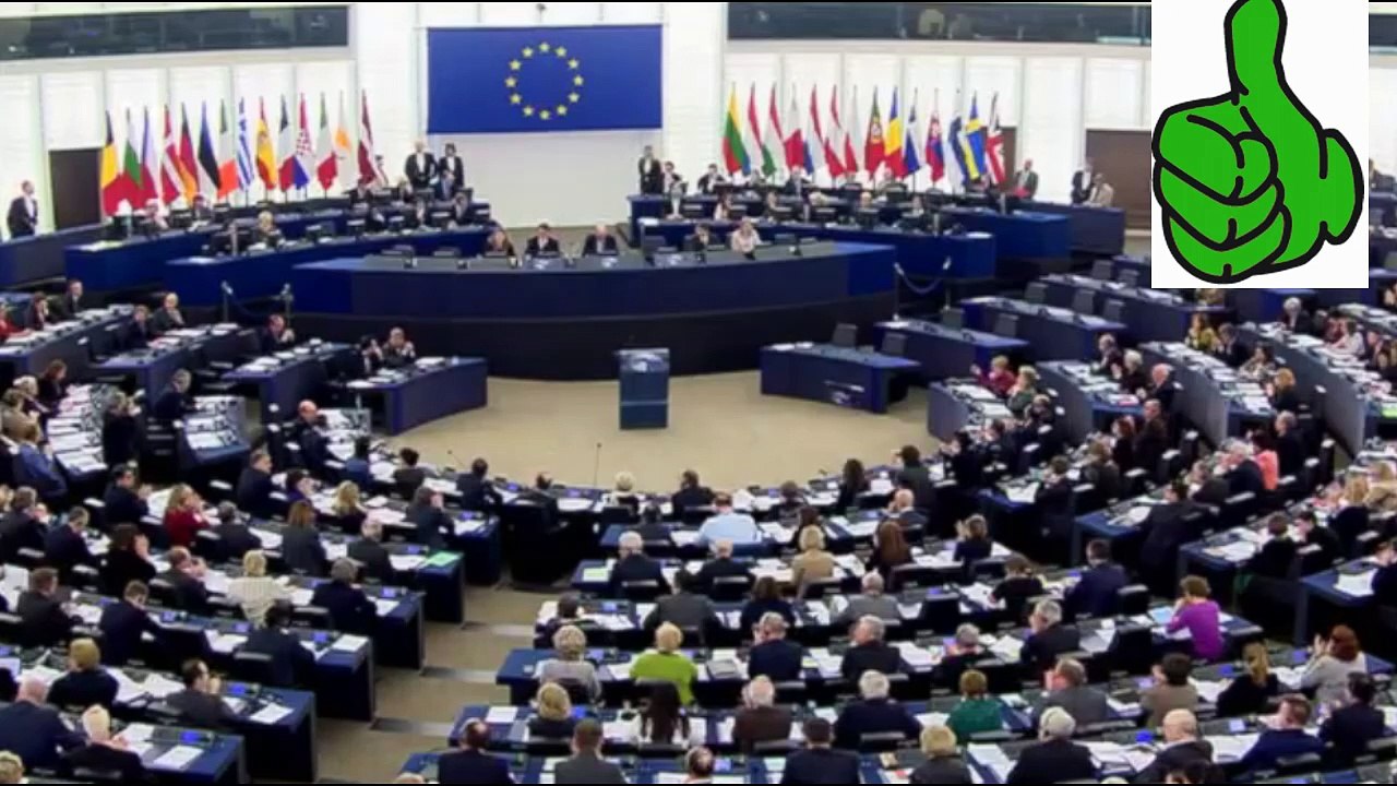 Schulz wirf Nazi-Grieche aus EU-Parlament wegen Rassistischer Beleidigung
