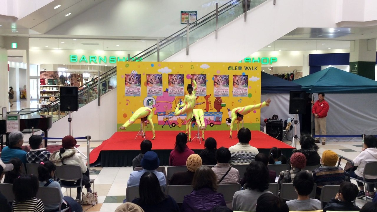 ethio sheger group contortion act