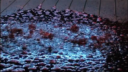 映画「神の左手悪魔の右手」（渋谷飛鳥・ 前田愛）３/3