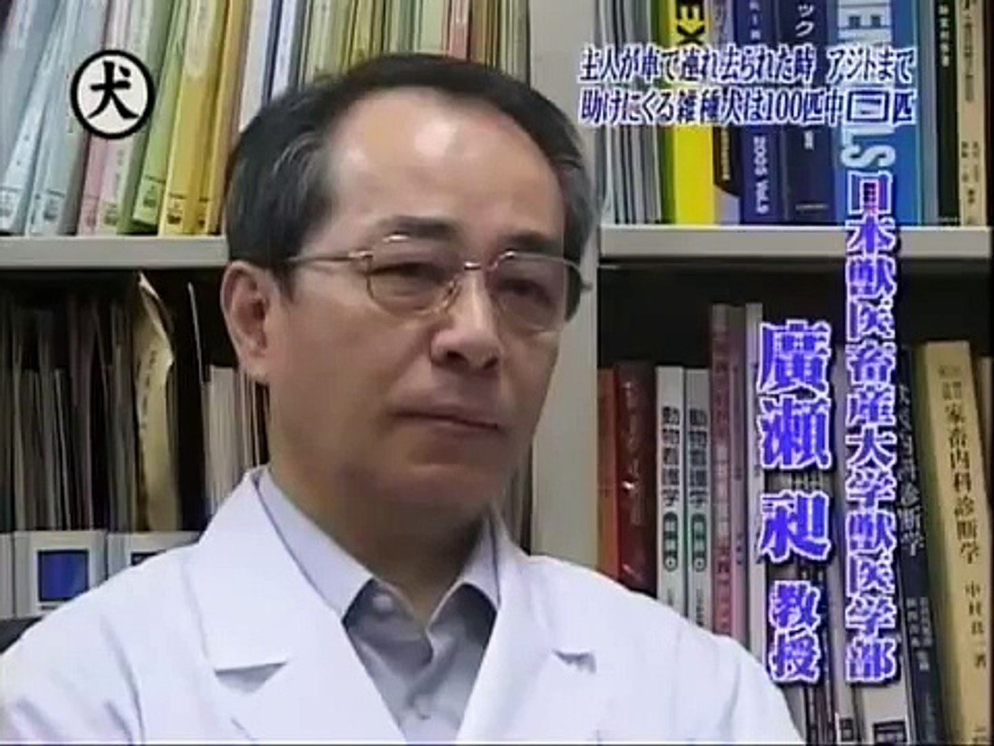 トリビアの種 散歩中 主人が謎の秘密組織に車で連れ去られた時 アジトまで助けにくる雑種犬は100匹中 匹 動画 Dailymotion