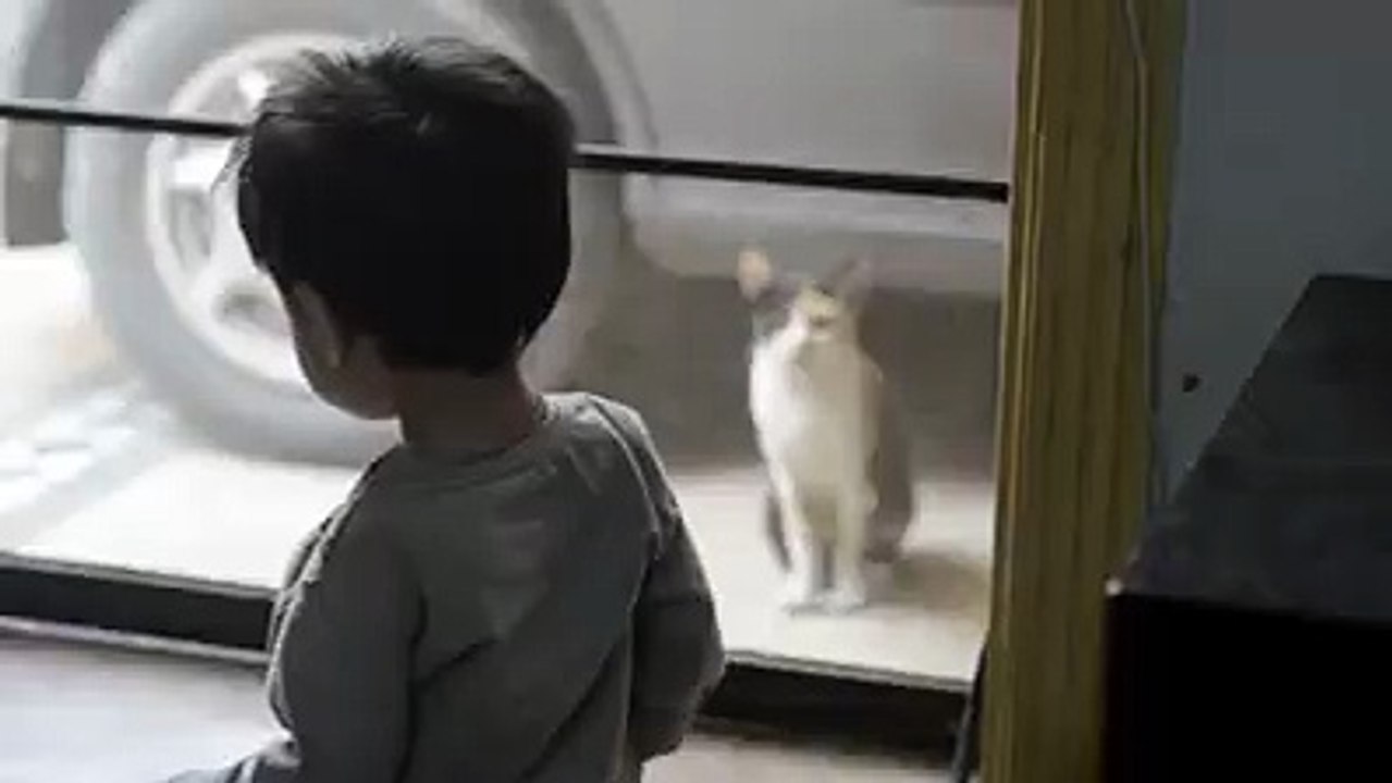 This young boy and his cat seem to understand each other perfectly