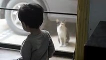 This young boy and his cat seem to understand each other perfectly