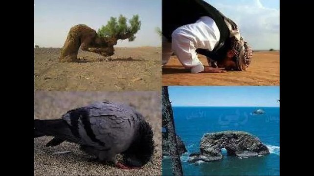 na tera khuda koi or hai1