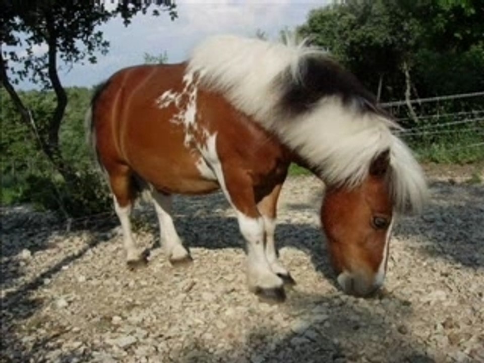 Binoulebg
