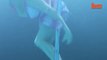 Aqua-batic- Underwater Pole Dancing Reveals The Elegance Of The Sport