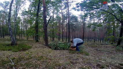 Zombie Apocalypse Prank