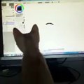 kitten trying to catch fish painted in Paint