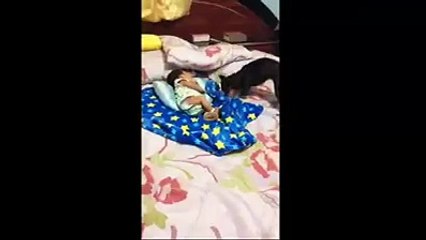 كلب يصر على حماية طفل من البرد