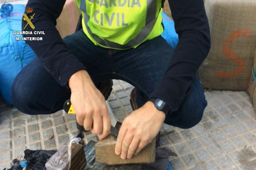 Desarticulan banda que asaltaba a narcotraficantes