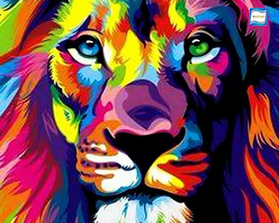 Si Moh ~ Amulli Ameggaz ~